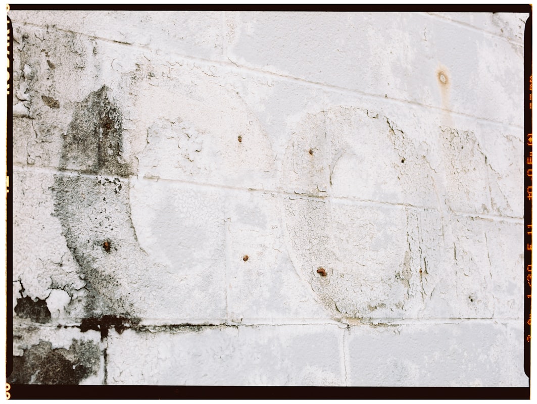 Mold Remediation service in Dayton, OH